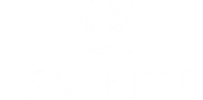 logo-essenceweb